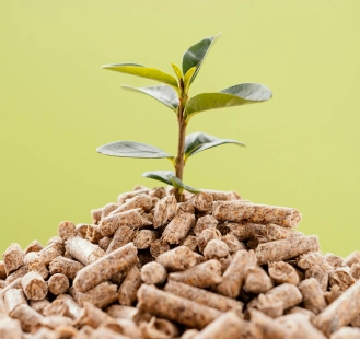 Organic rabbit manure pellets with a young plant growing, representing natural fertilizer also known as gardeners’ gold from Abungu Rabbit Farm